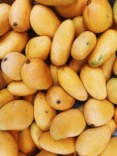 Fruit Mango