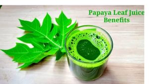 Papaya leaf Juice