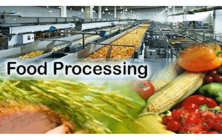  Importance of Food Processing