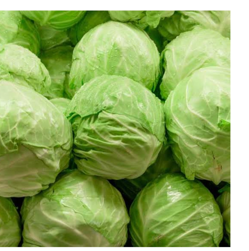 Benefits of Cabbage