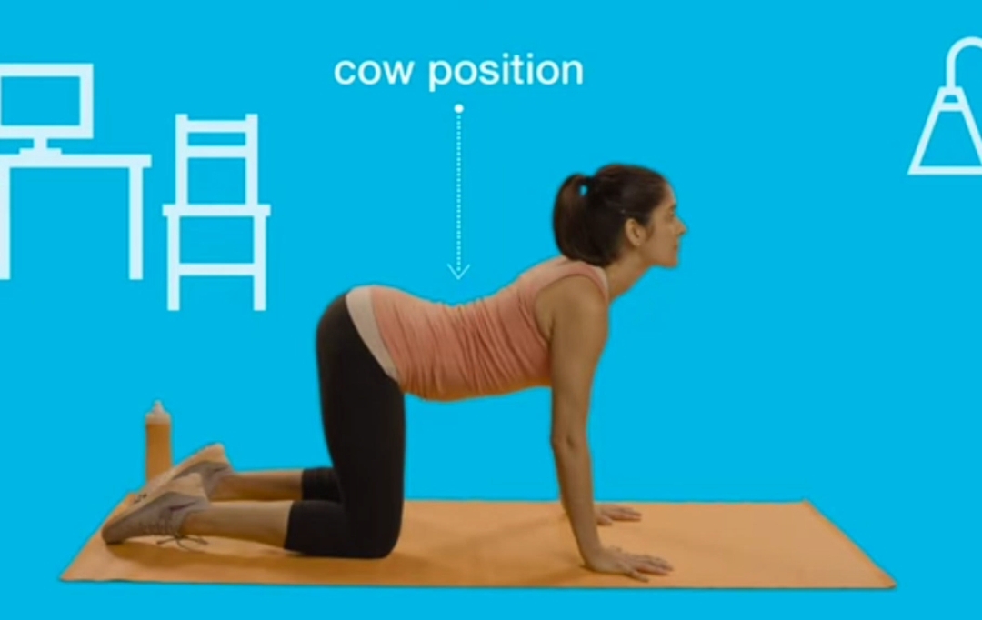 Video: Cat-Cow Pose Exercise