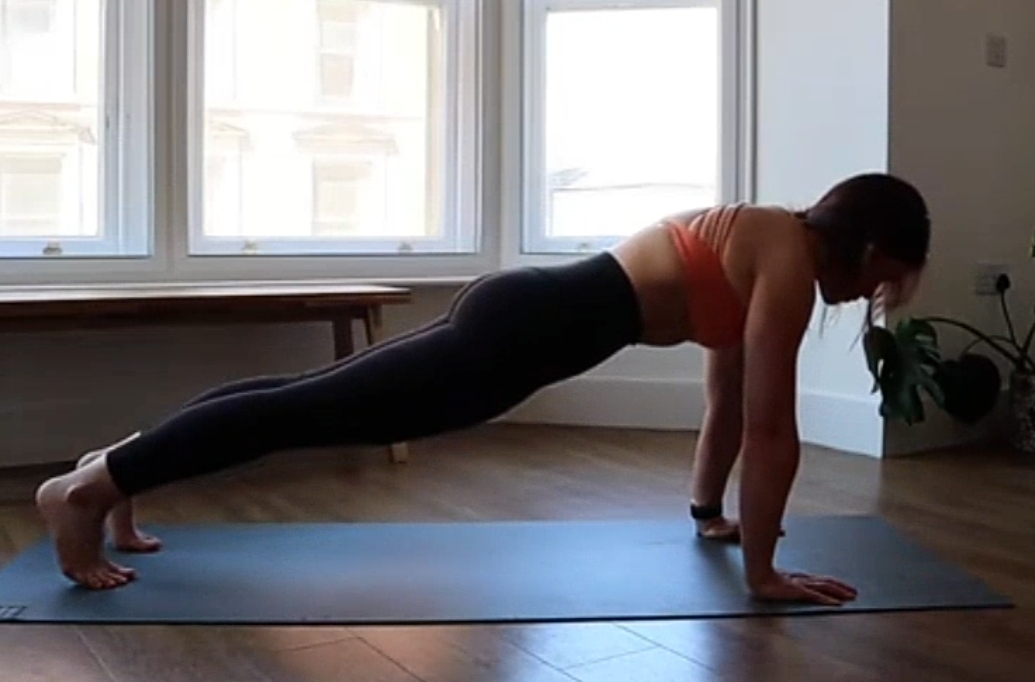 Video: Pushups Exercise