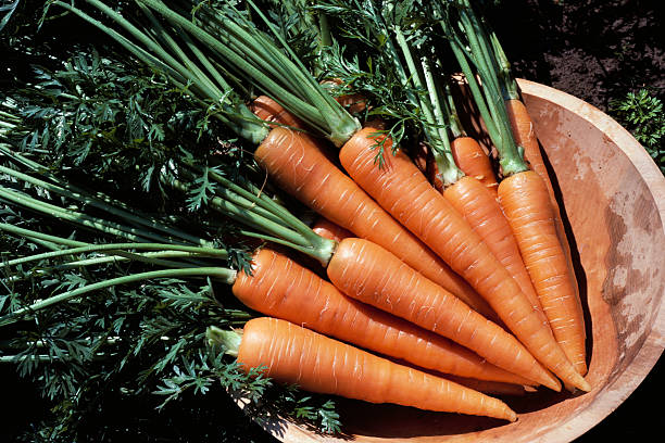 A Heap of Vibrant Orange coloured Carrots