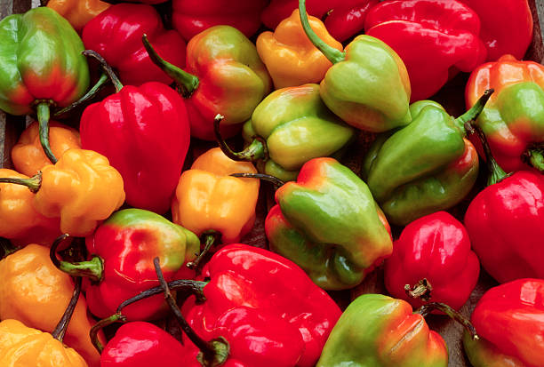 Benefits of Bell Peppers