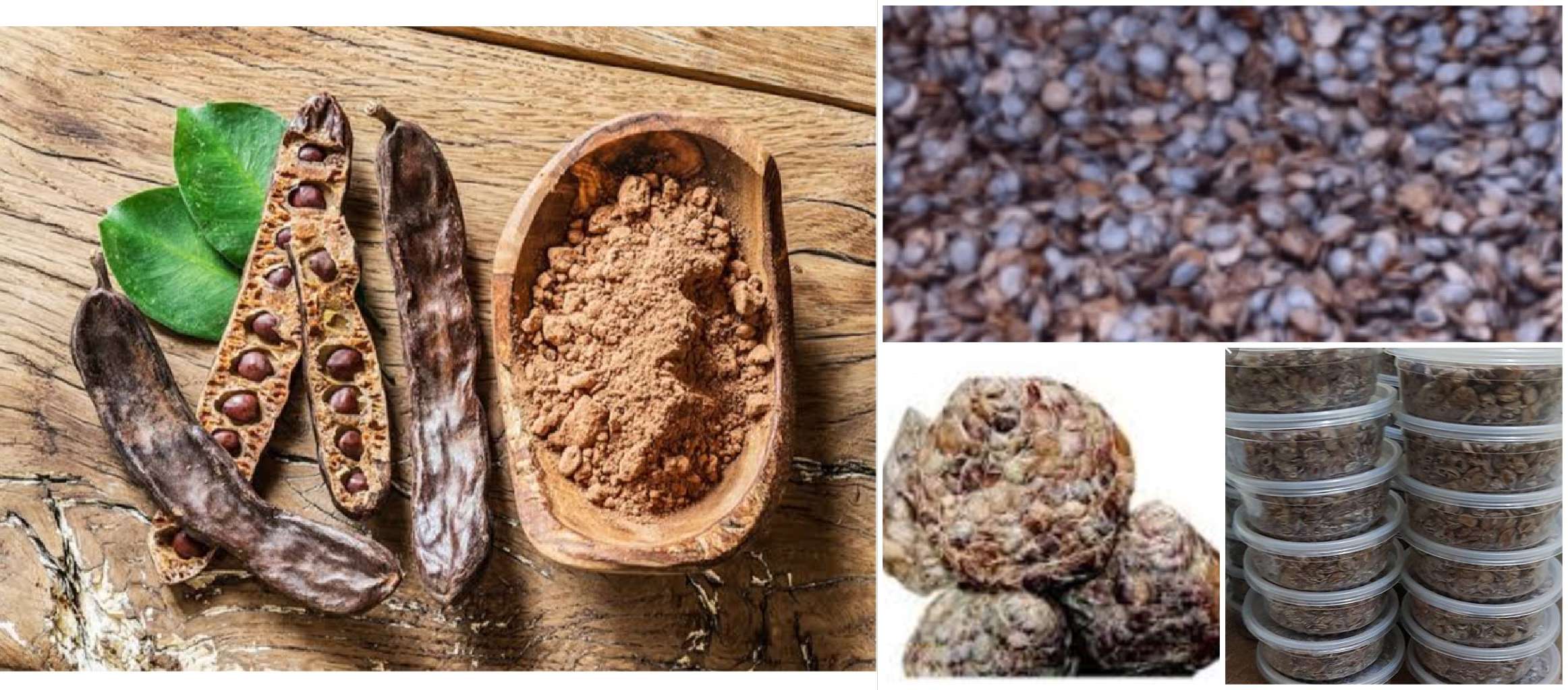Difference Between Locust Beans and Carob